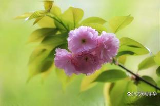 登哥给力！哈登过去6战有5场得到两双数据 对阵湖人差1次助攻